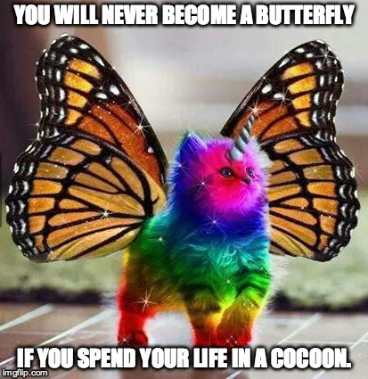 butterfly meme